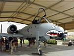 A-10_06.JPG